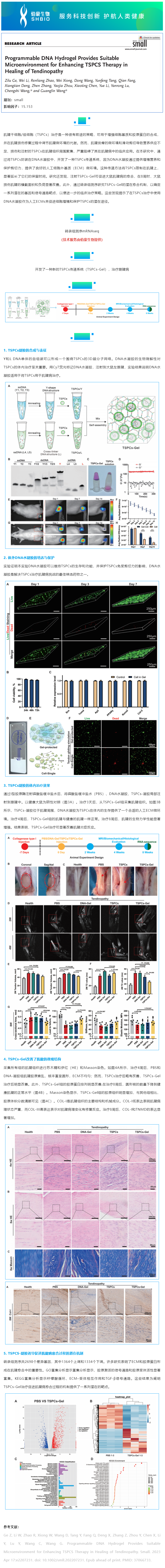 06-19 mRNAseq 項目文章_ 可編程 DNA 水凝膠為增強 TSPCs 治療肌腱病的愈合提供了合適的微環(huán)境副本