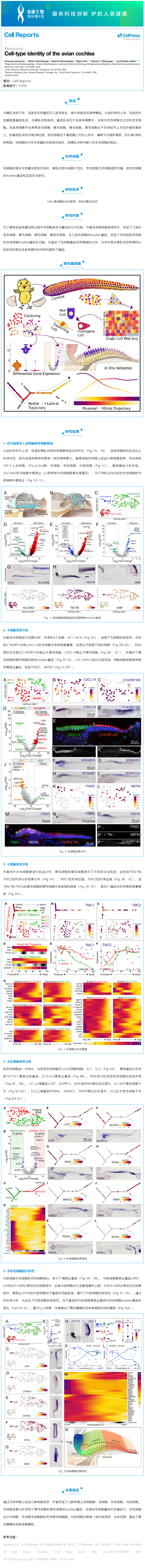 23-06-12 文獻(xiàn)解讀 _ 鳥類耳蝸單細(xì)胞圖譜