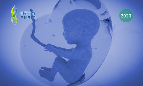 項目文章 | 轉(zhuǎn)錄組測序分析揭示了基因在產(chǎn)前 PM2.5 暴露后男性后代髓磷脂異常發(fā)育中的潛在作用