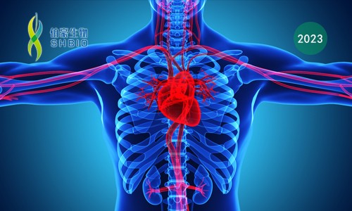 文獻解讀 | 缺血性心肌病組織進行單細胞核測序揭示了終末期心力衰竭轉(zhuǎn)錄圖譜