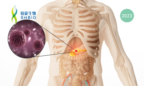 文獻(xiàn)解讀 | 單細(xì)胞測序揭示了在人類慢性胰腺炎中具有 CCR6-CCL20 串?dāng)_的獨(dú)特免疫微環(huán)