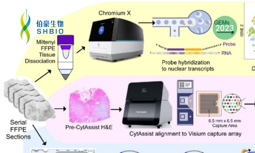Xenium 空間原位分析高端局 | 從文獻解析到研究思路大揭秘