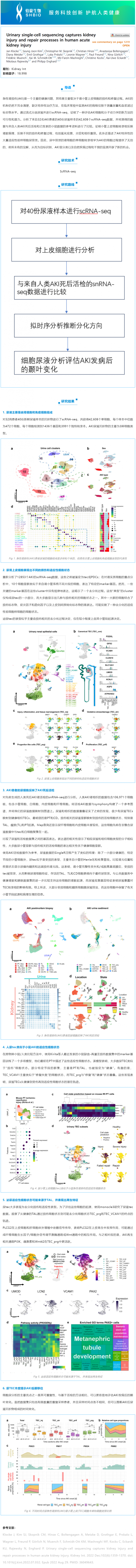文獻(xiàn)解讀_尿 scRNA-seq 捕獲人類急性腎損傷的腎損傷和修復(fù)過程