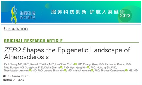 文獻(xiàn)解讀 |scRNA-seq 聯(lián)合 scATAC-seq 解析 ZEB2 調(diào)控動脈粥樣硬化表觀遺傳景觀