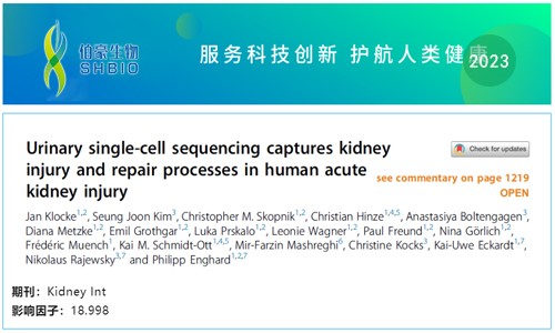 文獻(xiàn)解讀 | 尿 scRNA-seq 捕獲人類急性腎損傷的腎損傷和修復(fù)過程