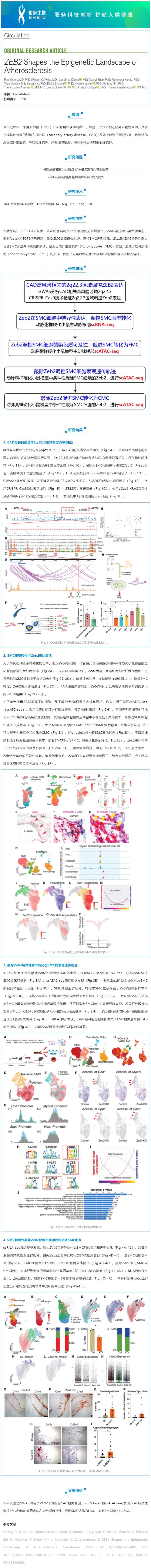 文獻(xiàn)解讀_scRNA-seq 聯(lián)合 scATAC-seq 解析 ZEB2 調(diào)控動脈粥樣硬化表觀遺傳景觀