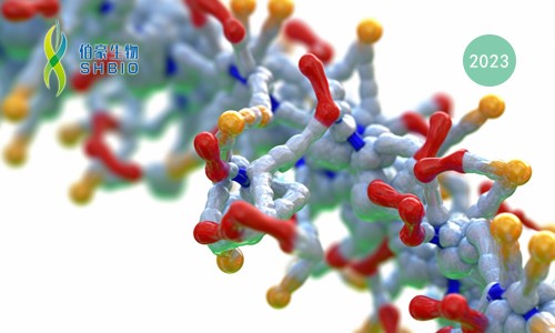 液體活檢 |Olink PEA 技術(shù)助力發(fā)現(xiàn)神經(jīng)膠質(zhì)瘤精準(zhǔn)早診循環(huán)蛋白標(biāo)志物