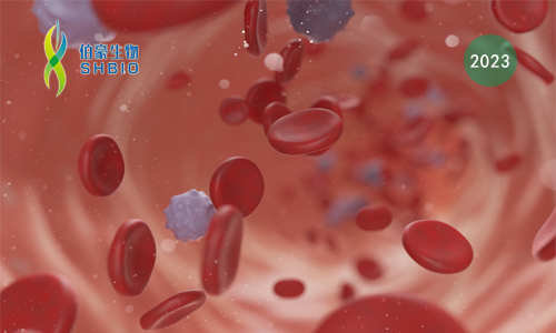 mRNA-seq 項(xiàng)目文章 | 棕櫚酰轉(zhuǎn)移酶 ZDHHC21 調(diào)節(jié)氧化磷酸化誘導(dǎo) AML 分化阻滯和干性