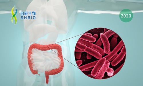 轉(zhuǎn)錄組測(cè)序項(xiàng)目文章 | 人類腸道卵形擬桿菌在膳食纖維素糖降解中重要作用