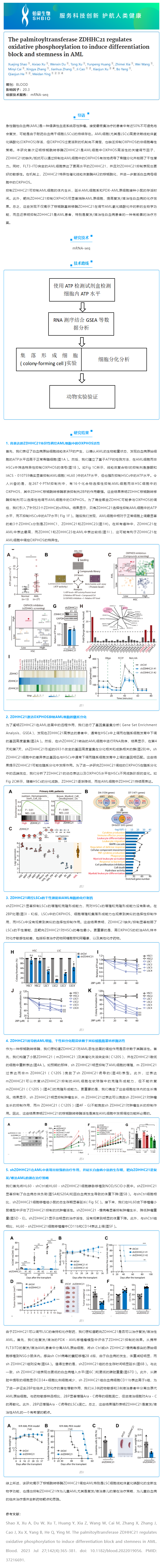 2023-08-14 mRNA-seq 項(xiàng)目文章_棕櫚酰轉(zhuǎn)移酶 ZDHHC21 調(diào)節(jié)氧化磷酸化誘導(dǎo) AML 分化阻滯和干性