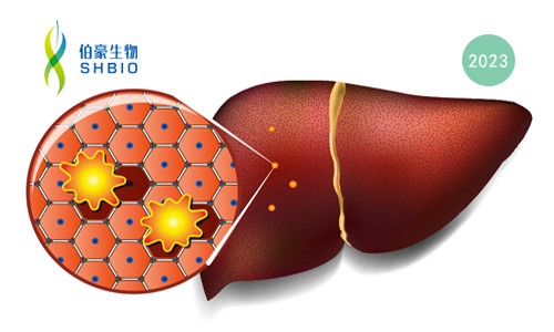 高分文獻(xiàn)一作分享會 | 肝細(xì)胞癌早期檢測生物標(biāo)志物研究分享