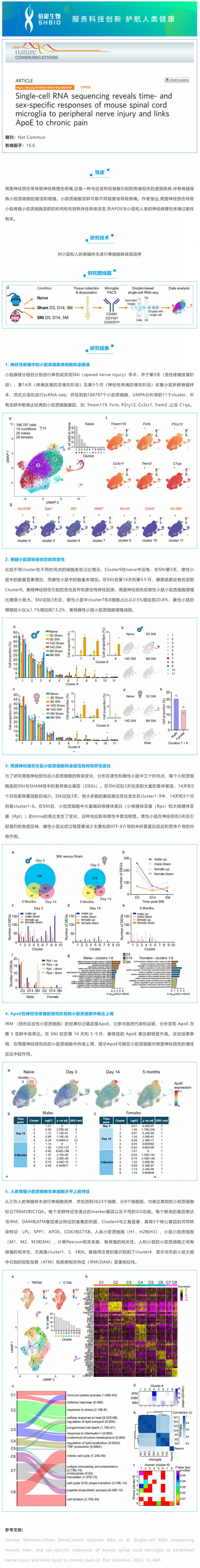 文獻解讀_單細胞 RNA 測序揭示了小鼠脊髓小膠質細胞對周圍神經損傷的時間和性別特異性反應，并將 ApoE