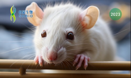 文獻解讀 | 單細胞 RNA 測序揭示了小鼠脊髓小膠質(zhì)細胞對周圍神經(jīng)損傷的時間和性別特異性反應(yīng)，并將 ApoE 與慢性疼痛聯(lián)系起來