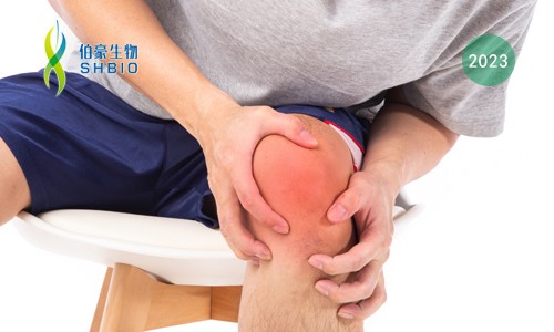 時空組學(xué)項目文章 | 時空組學(xué)技術(shù)助力發(fā)現(xiàn)類風(fēng)濕關(guān)節(jié)炎疾病治療新靶點