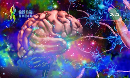 里程碑 | Science 系列 21 篇論文齊發(fā)，共繪最新最全“腦細胞圖譜”