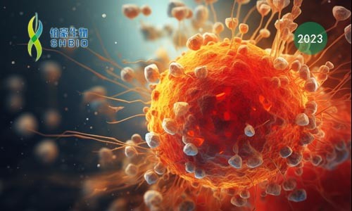 文獻解讀 | 血管周圍的三級淋巴樣結(jié)構中干細胞樣 CD4+ T 細胞在自身免疫性血管炎中的作用