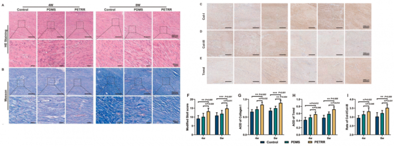 mRNA-seq 項(xiàng)目文章分析圖 6