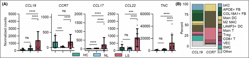 空間轉(zhuǎn)錄組測序 + 單細(xì)胞測序 + 蛋白組學(xué)測序 SCI 文章圖 2