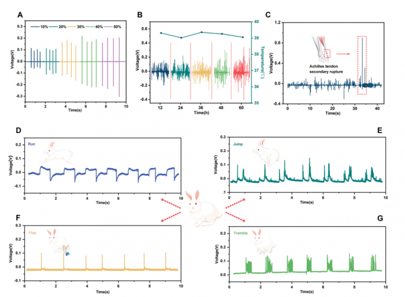 mRNA-seq 項(xiàng)目文章分析圖 3