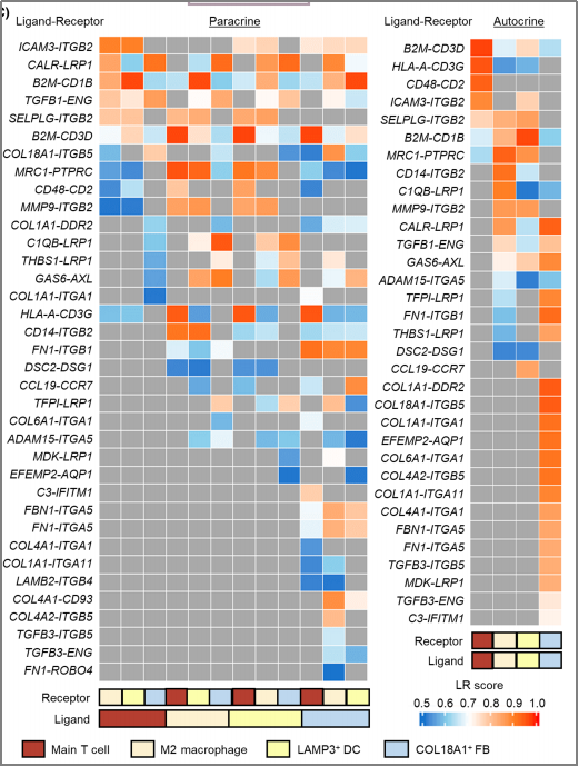 空間轉(zhuǎn)錄組測序 + 單細(xì)胞測序 + 蛋白組學(xué)測序 SCI 文章圖 5