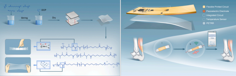 mRNA-seq 項(xiàng)目文章分析圖 1