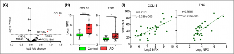 空間轉(zhuǎn)錄組測序 + 單細(xì)胞測序 + 蛋白組學(xué)測序 SCI 文章圖 4