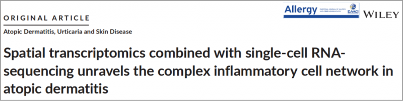空間轉(zhuǎn)錄組測序 + 單細(xì)胞測序 + 蛋白組學(xué)測序 SCI 文章