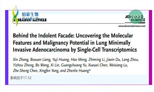 臨床樣本單細胞懸液制備方案 | 單細胞轉(zhuǎn)錄組學(xué)揭示肺部微浸潤性腺癌的分子特征與惡性潛能：揭開其無癥狀的表象