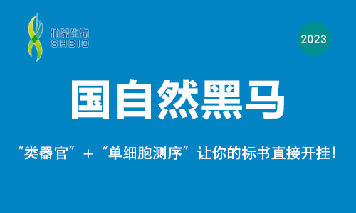 國自然黑馬 |“類器官 + 單細胞測序”讓你的標(biāo)書直接開掛！