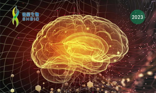 文獻(xiàn)解讀 | 單細(xì)胞分辨率下人類大腦皮層發(fā)育的基因調(diào)控動力學(xué)