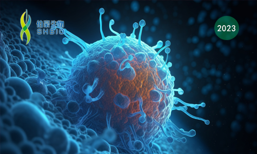 文獻解讀 | CAR-NK 細胞治療后代謝適應(yīng)性的喪失會導(dǎo)致腫瘤產(chǎn)生耐藥性，并且可以通過細胞因子工程來克服