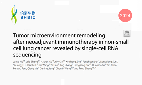 文獻(xiàn)解讀 | 單細(xì)胞 RNA 測(cè)序揭示非小細(xì)胞肺癌新輔助免疫治療后腫瘤微環(huán)境重塑