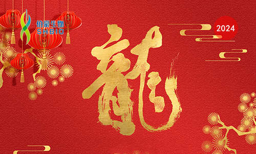 網(wǎng)站封面 - 恢復(fù)的龍年