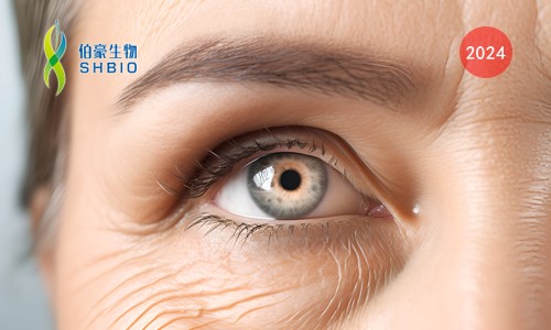 項目文章 | 單細胞核轉(zhuǎn)錄組測序揭示放療誘導細胞衰老重塑膠質(zhì)瘤免疫微環(huán)境與腫瘤復發(fā)機制研究