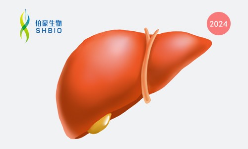 文獻解讀 | 基于人工智能的病理學特征可作為標志物預測阿替利珠單抗 - 貝伐珠單抗治療肝癌的敏感性