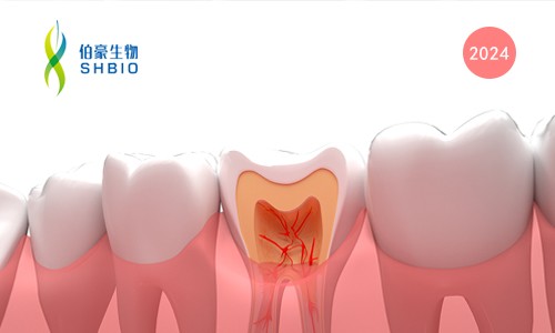 文獻解讀 | 人牙髓干細胞和人牙周韌帶干細胞的單細胞 RNA 測序分析