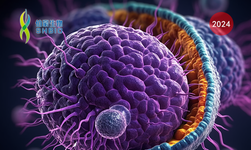 文獻解讀 | 新輔助放化療后增強的抗腫瘤免疫力介導了切除胰腺癌女性的良好預后