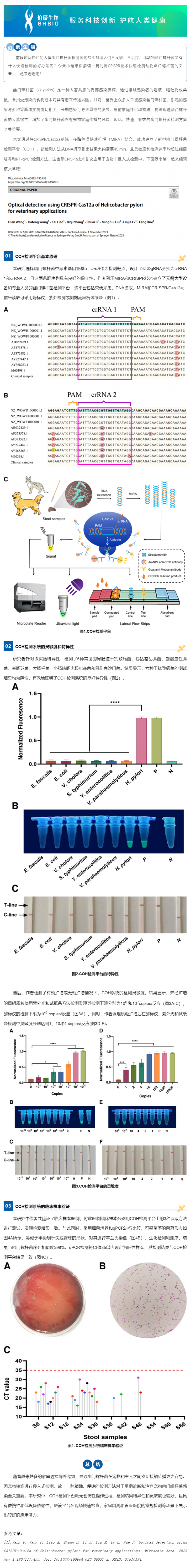 CRISPR 智庫 _ CRISPR 關注寵物健康——人畜共患幽門螺桿菌現(xiàn)場快速檢