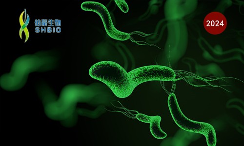 CRISPR 智庫 | CRISPR 關(guān)注寵物健康——人畜共患幽門螺桿菌現(xiàn)場快速檢