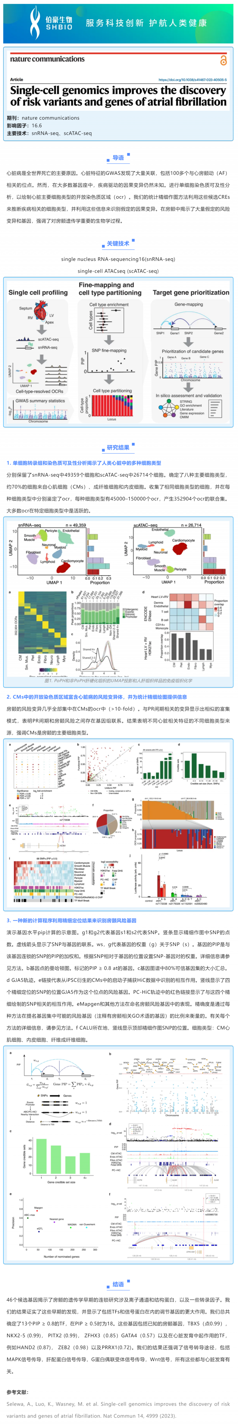 文獻(xiàn)解讀 _ 單細(xì)胞基因組學(xué)有助于發(fā)現(xiàn)房顫的風(fēng)險(xiǎn)變異和基因