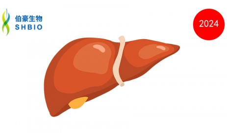 文獻(xiàn)解讀 | 人肝臟單核 RNA 測序表明 BMPR2、GDF15、精氨酸和雌激素與門脈高壓有關(guān)