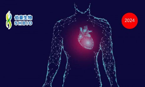 Nature| 利用 RNA 測(cè)序和空間成像技術(shù)成功構(gòu)建高分辨率人類心臟空間單細(xì)胞圖譜