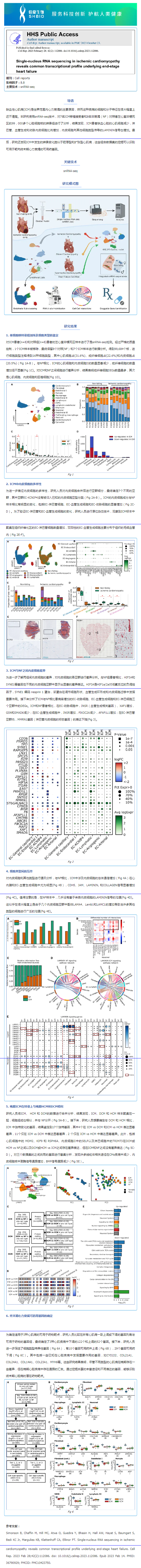 文獻(xiàn)解讀 _ 缺血性心肌病患者的單核 RNA 測序顯示終末期心力衰竭的共同轉(zhuǎn)錄模式