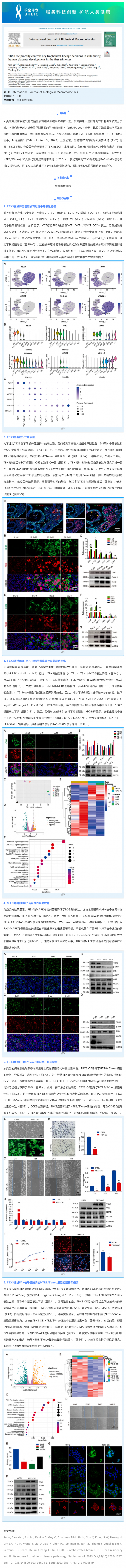 文獻(xiàn)解讀 _ TBX3 控制胎盤發(fā)育早期絨毛中的關(guān)鍵滋養(yǎng)層譜系