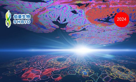 突破空間組學(xué)研究極限：Visium HD 與 Xenium In Situ 的完美融合