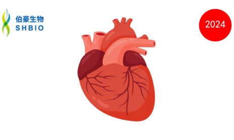 文獻(xiàn)解讀 | 單細(xì)胞基因組學(xué)有助于發(fā)現(xiàn)房顫的風(fēng)險變異和基因