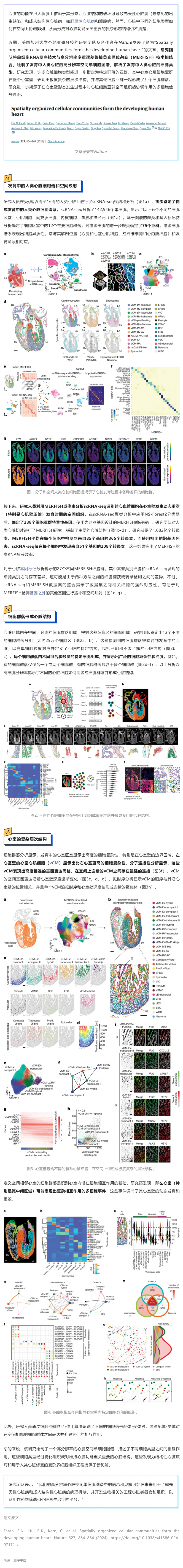 Nature| 利用 RNA 測序和空間成像技術(shù)成功構(gòu)建高分辨率人類心臟空間單細(xì)胞圖譜