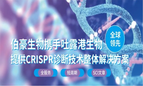 CRISPR 智庫 | 不依賴 PAM 序列，CRISPR-Cas12a 能超特異性靶向 dsDNA 嗎？