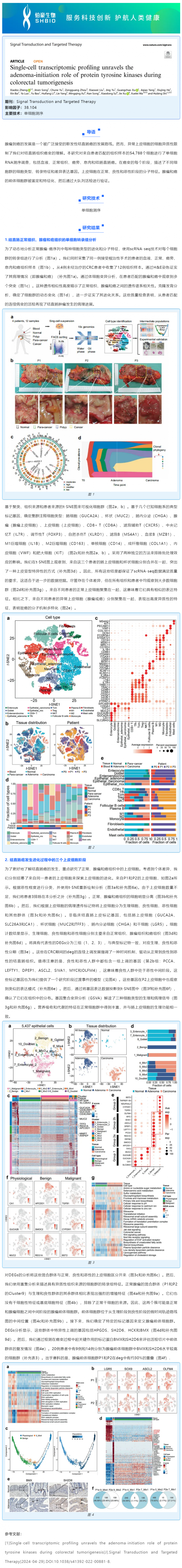 5 月 6 日文獻解讀 | 單細胞轉(zhuǎn)錄組分析揭示了蛋白酪氨酸激酶在結(jié)直腸腫瘤發(fā)生過程中的作用
