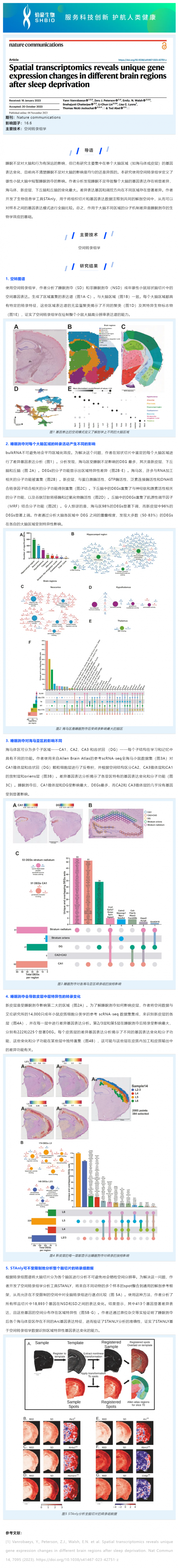 516 文獻(xiàn)解讀 _ 空間轉(zhuǎn)錄組學(xué)揭示睡眠剝奪后不同大腦區(qū)域的特異性基因表達(dá)變化